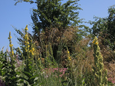 DSCN2617.JPG
