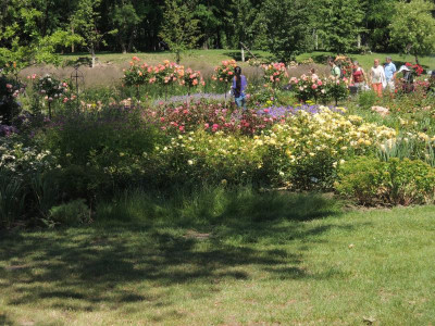 DSCN2637.JPG