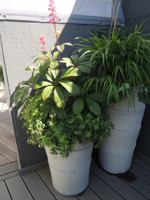 DSCN2661.JPG