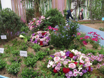 IMG_9724_IGA_Blumenhalle_25Mai2017_.jpg