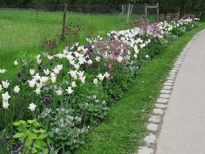 IMG_9800_IGA_25Mai2017_.jpg