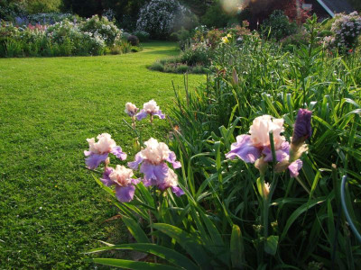 2017_0619Rosen0135.JPG