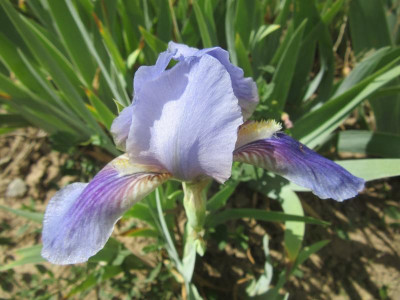 IMG_3804.JPG