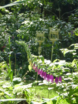 2017-06-18 Schratwald 7.jpg
