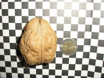 P1050026.JPG