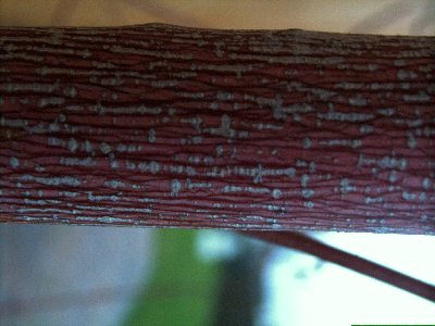 acer_cappad1._rinde2_400x300.jpg