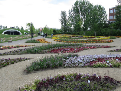 IMG_9857_IGA_25Mai2017_.jpg