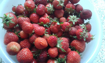 IMG-20170620-WA0004.jpeg