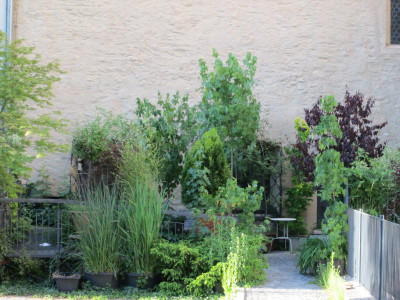 Garten_Scheugässchen2.JPG
