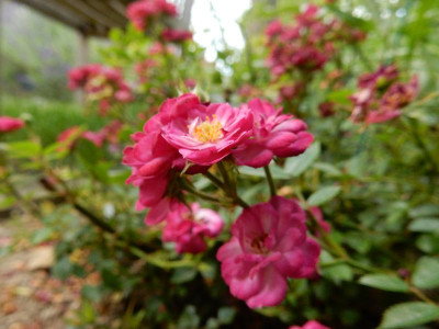 DSCN2831.JPG