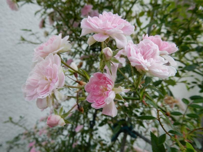 DSCN2839.JPG