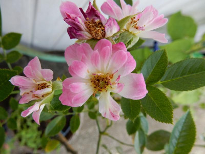 DSCN2840.JPG