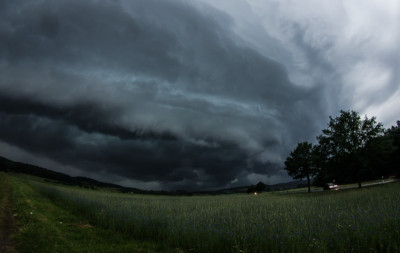 Shelfcloud.jpg