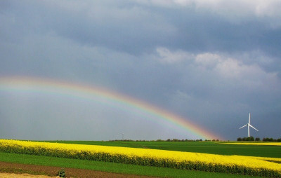 rainbow 13.jpg
