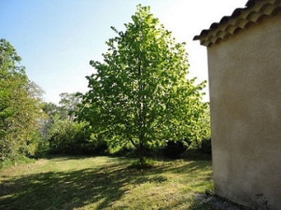 DSC01435.JPG