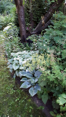 IMG-20170622-WA0017 (1).jpeg