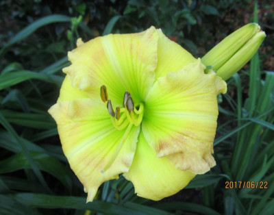 IMG_4098 small.jpg