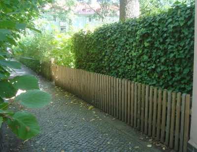 heckeamlaufendenmeterterrasse.jpg