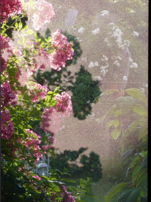 2017-06-20 Fensterausblick.jpg