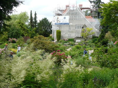 P1230017.JPG