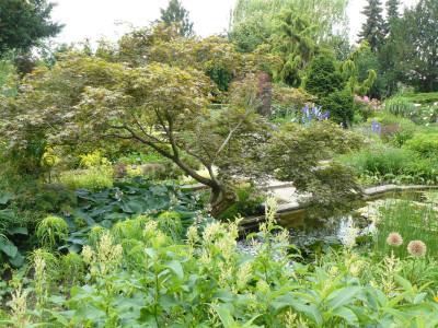 P1230044.JPG