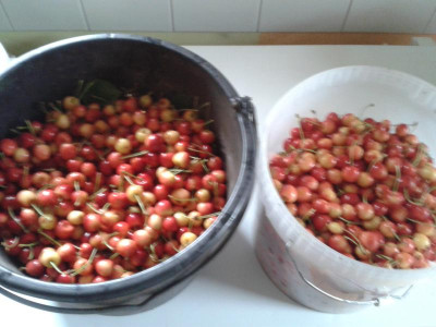 20170624_130226.jpg