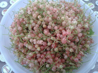 20170626_155023.jpg