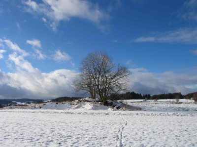 weidewestschnee.jpg