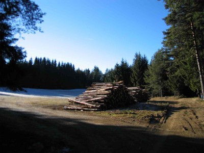 holzkohl.jpg