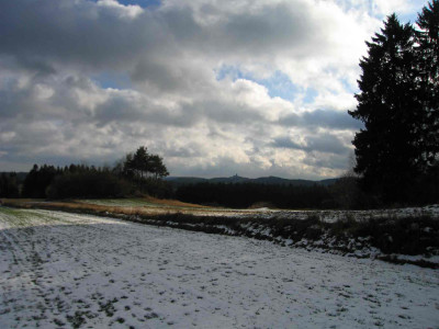 feldzahn1.jpg