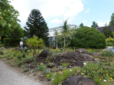 2017-06-17 Hannover Berggarten 13.jpg