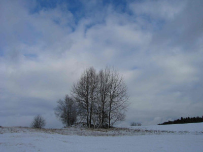 buehelschnee5.jpg