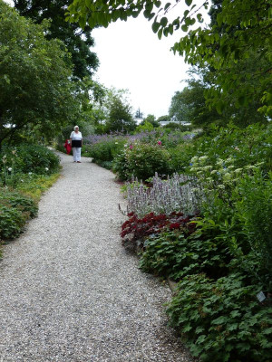2017-06-17 Hannover Berggarten 17.jpg