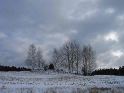 buehelschnee6.jpg