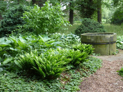 2017-06-17 Hannover Berggarten 26.jpg