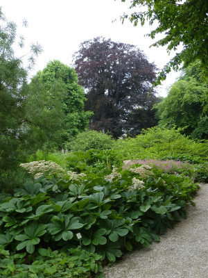 2017-06-17 Hannover Berggarten 32.jpg