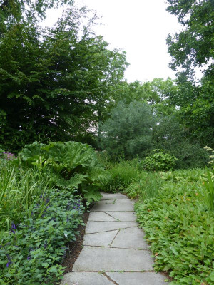 2017-06-17 Hannover Berggarten 34.jpg