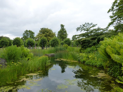 2017-06-17 Hannover Berggarten 38.jpg