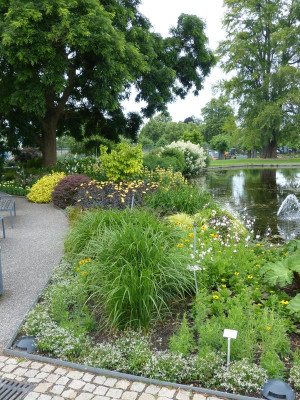 2017-06-17 Hannover Berggarten 42.jpg