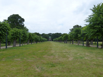 2017-06-17 Hannover Berggarten 43.jpg