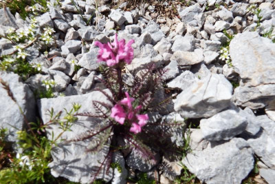 DSCF9671.JPG