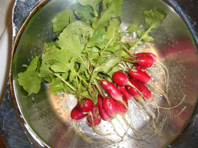 09.01.2007.1.JPG