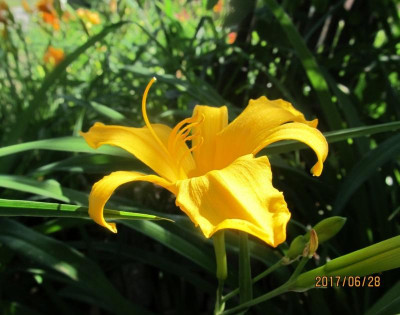 IMG_4585 small.jpg