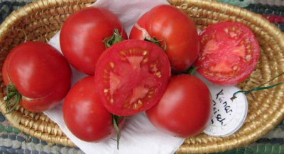 Kanarische_Fleischtomate.jpg