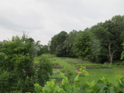Ausblick 30.6.17 ue.JPG
