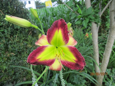 IMG_0963 small.jpg