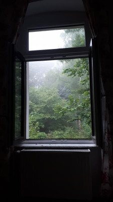 20170629_061409.jpg
