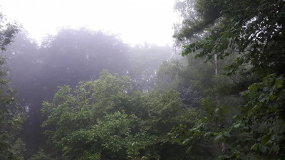 20170629_061526.jpg