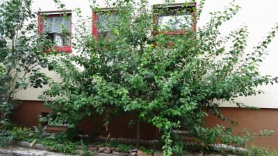 DSC02918.JPG