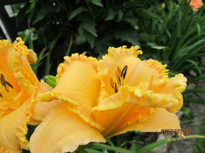 IMG_4836 small.jpg
